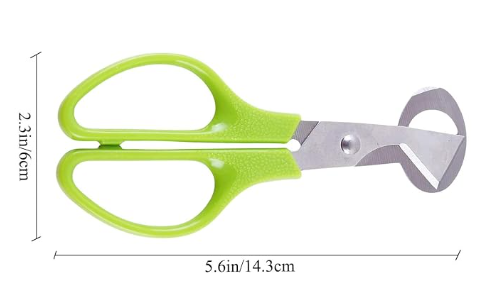 Quail egg scissors, 5.6 inches long